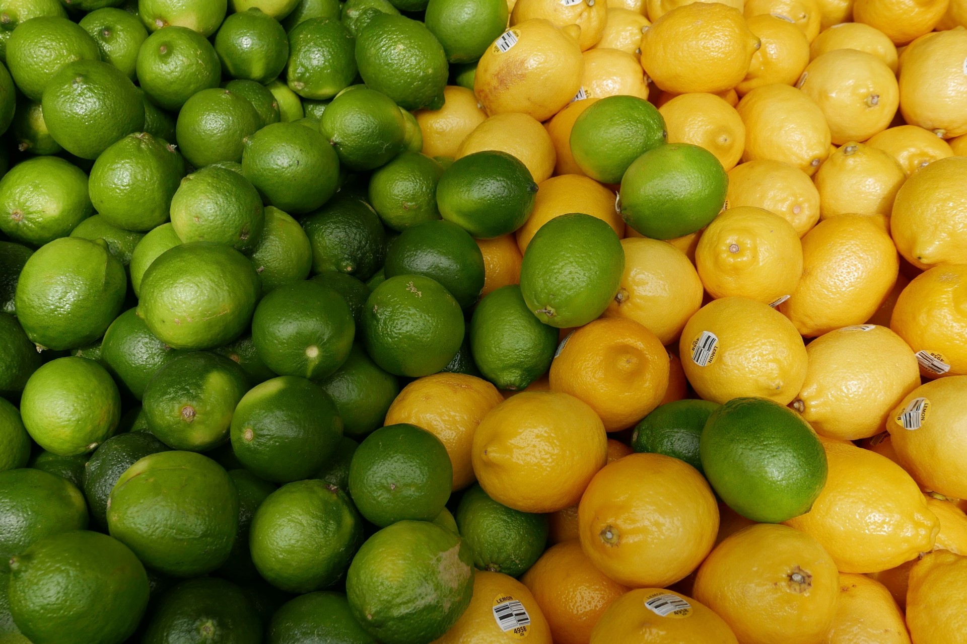 Photograph of Lemons and Limes