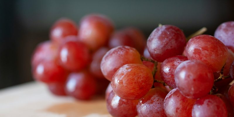 Photograph of Grapes